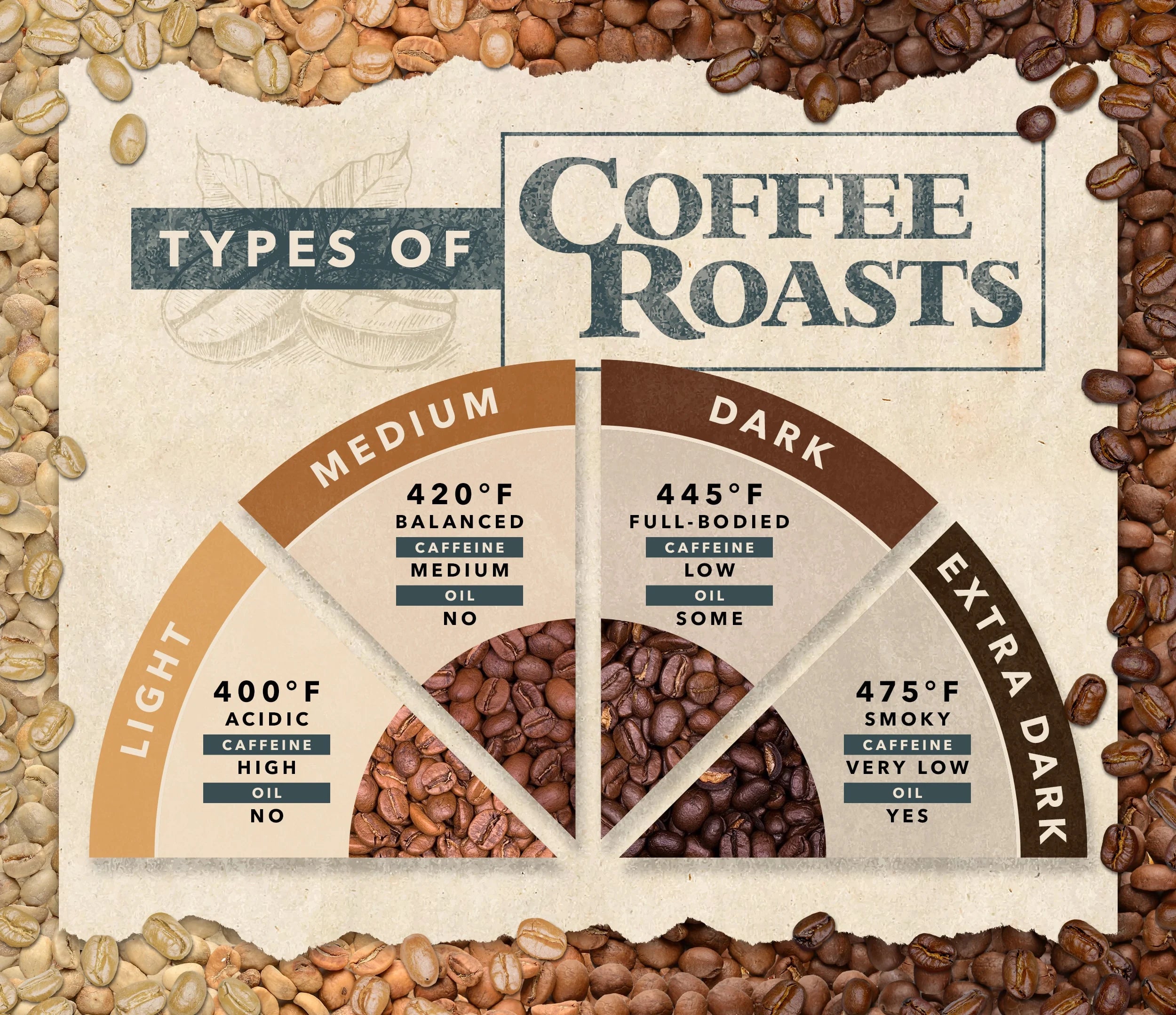 Roast Profiles and Flavor Development: Unveiling the Science of Coffee ...